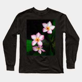 plumeria-flowers-frangipani-floral-white-pink-blossoms-shirtyshirto-34 Long Sleeve T-Shirt